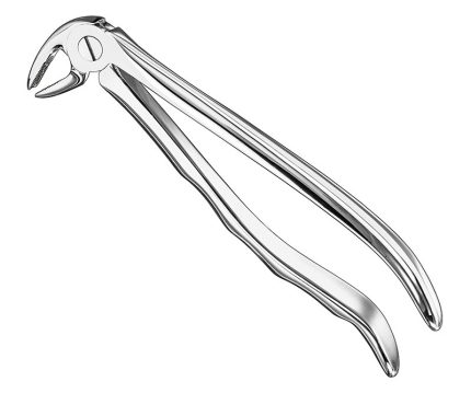 Extracting forceps, anat.