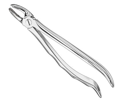 Extracting forceps, anat.