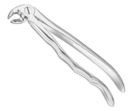Extracting forceps, anat.
