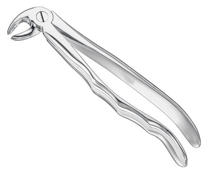 Extracting forceps, anat.