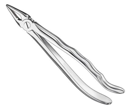 Extracting forceps, anat.