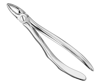 Extracting forceps, anat.