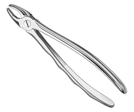 Extracting forceps, anat.