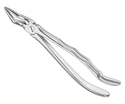 Extracting forceps, anat.