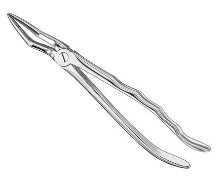 Extracting forceps, anat.