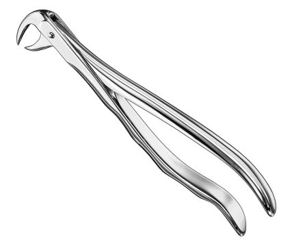 Extracting forceps, anat.