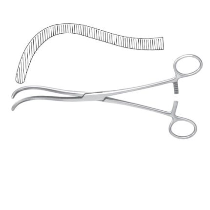 Guyon Kidney Pedicle Clamp